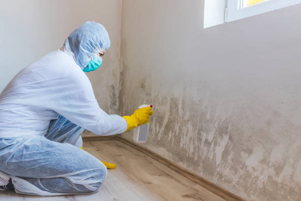Mold inspector in Willingboro performing thermal imaging